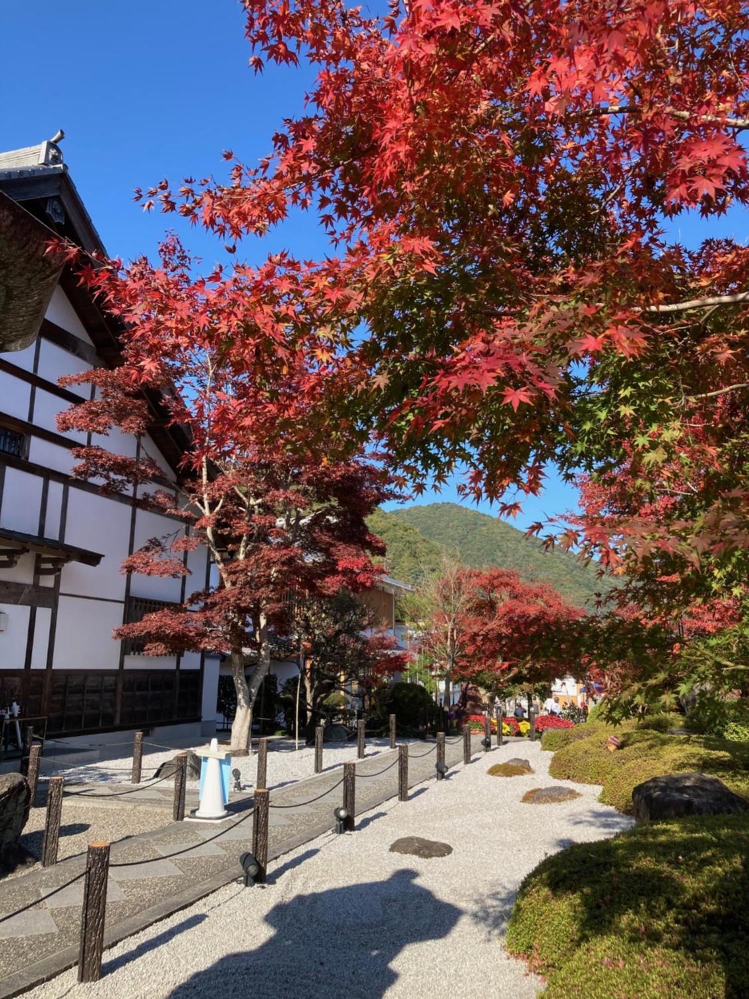 Sky Tree Inn Ⅱ（晴樹宿ⅱ） โตเกียว ภายนอก รูปภาพ