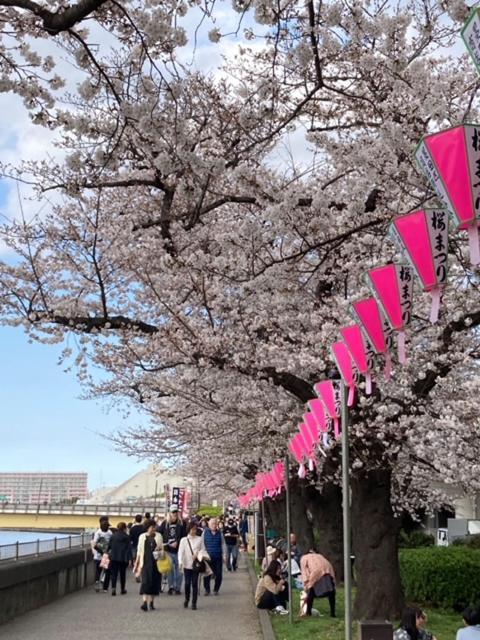 Sky Tree Inn Ⅱ（晴樹宿ⅱ） โตเกียว ภายนอก รูปภาพ